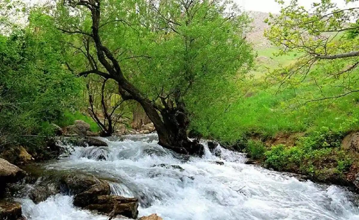 آب و هوای نهاوند